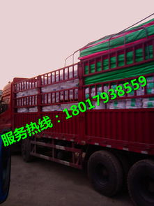 上海到云南省臨滄市物流貨運(yùn) 貨物運(yùn)輸價(jià)格 廠家 圖片